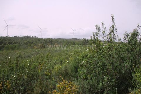 Helårsgrund i Castelo Branco, Castelo Branco, Castelo Branco - € 27.500 | Ref: 102220099 - foto 5