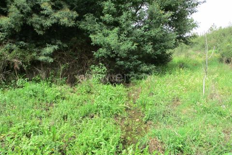 Helårsgrund i Castelo Branco, Castelo Branco, Castelo Branco - € 27.500 | Ref: 102220099 - foto 8