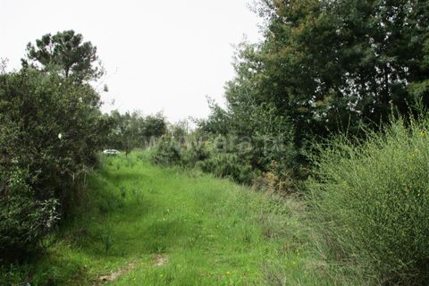 Helårsgrund i Castelo Branco, Castelo Branco, Castelo Branco - € 27.500 | Ref: 102220099 - foto 9