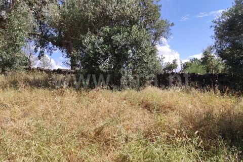 Landejendom i Castelo Branco, Castelo Branco, Castelo Branco - € 12.000 | Ref: 102220262 - foto 5