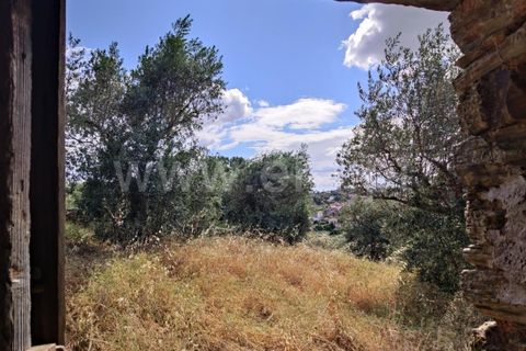 Landejendom i Castelo Branco, Castelo Branco, Castelo Branco - € 12.000 | Ref: 102220262 - foto 8