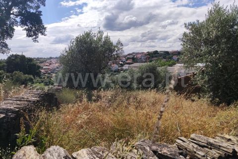Landejendom i Castelo Branco, Castelo Branco, Castelo Branco - € 12.000 | Ref: 102220262 - foto 10