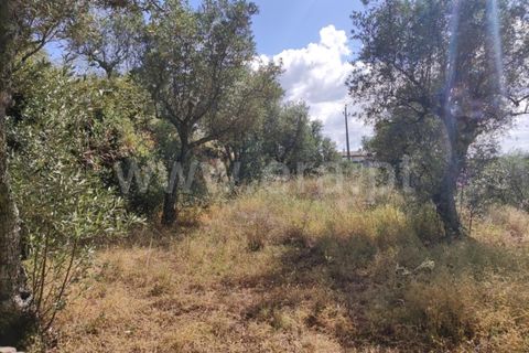 Landejendom i Castelo Branco, Castelo Branco, Castelo Branco - € 12.000 | Ref: 102220262 - foto 11
