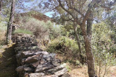 Landejendom i Castelo Branco, Castelo Branco, Castelo Branco - € 12.000 | Ref: 102220262 - foto 12