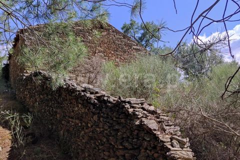 Landejendom i Castelo Branco, Castelo Branco, Castelo Branco - € 12.000 | Ref: 102220262 - foto 19