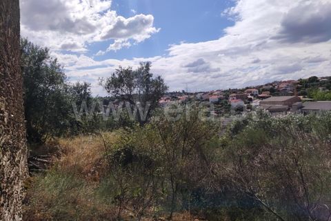 Landejendom i Castelo Branco, Castelo Branco, Castelo Branco - € 12.000 | Ref: 102220262 - foto 20