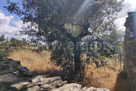 Landejendom i Castelo Branco, Castelo Branco, Castelo Branco - € 12.000 | Ref: 102220262 - foto 21