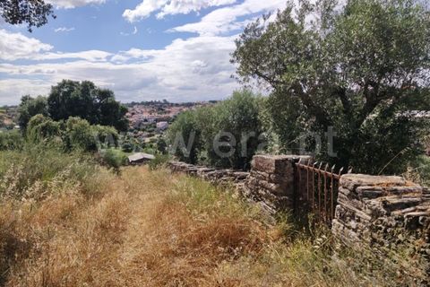 Landejendom i Castelo Branco, Castelo Branco, Castelo Branco - € 12.000 | Ref: 102220262 - foto 22