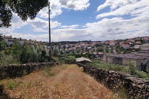 Landejendom i Castelo Branco, Castelo Branco, Castelo Branco - € 12.000 | Ref: 102220262 - foto 24