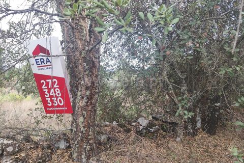 Landejendom i Castelo Branco, Castelo Branco, Castelo Branco - € 12.000 | Ref: 102220262 - foto 25