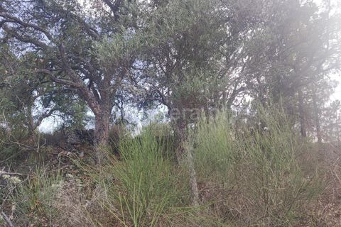 Landejendom i Castelo Branco, Castelo Branco, Castelo Branco - € 12.000 | Ref: 102220262 - foto 26