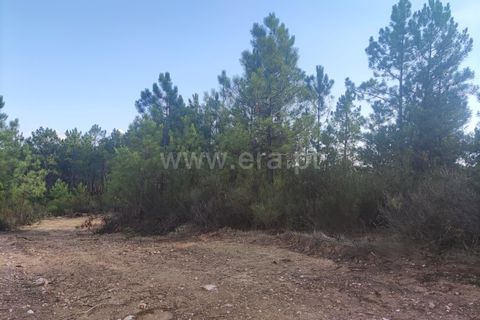 Landejendom i Castelo Branco, Castelo Branco, Castelo Branco - € 12.000 | Ref: 102220262 - foto 28