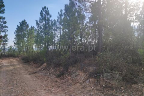Landejendom i Castelo Branco, Castelo Branco, Castelo Branco - € 12.000 | Ref: 102220262 - foto 29