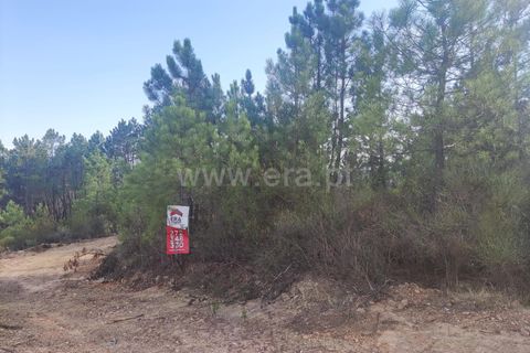 Landejendom i Castelo Branco, Castelo Branco, Castelo Branco - € 12.000 | Ref: 102220262 - foto 30