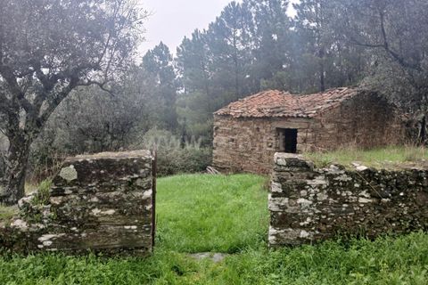Landejendom i Castelo Branco, Castelo Branco, Castelo Branco - € 12.000 | Ref: 102220262 - foto 1