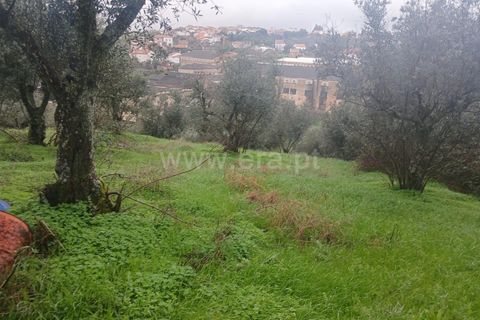 Landejendom i Castelo Branco, Castelo Branco, Castelo Branco - € 12.000 | Ref: 102220262 - foto 2