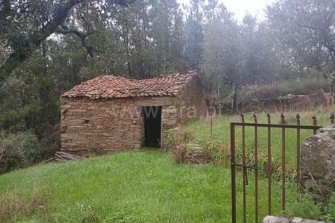 Landejendom i Castelo Branco, Castelo Branco, Castelo Branco - € 12.000 | Ref: 102220262 - foto 6
