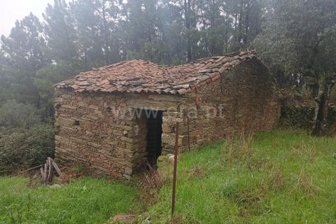 Landejendom i Castelo Branco, Castelo Branco, Castelo Branco - € 12.000 | Ref: 102220262 - foto 9