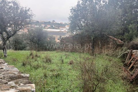 Landejendom i Castelo Branco, Castelo Branco, Castelo Branco - € 12.000 | Ref: 102220262 - foto 14