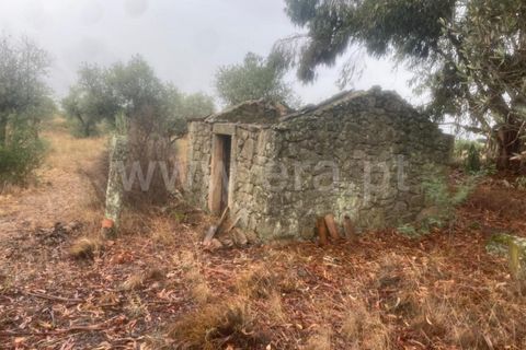 Landejendom i Castelo Branco, Castelo Branco, Castelo Branco - € 17.500 | Ref: 102220259 - foto 3