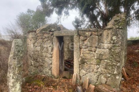Landejendom i Castelo Branco, Castelo Branco, Castelo Branco - € 17.500 | Ref: 102220259 - foto 4