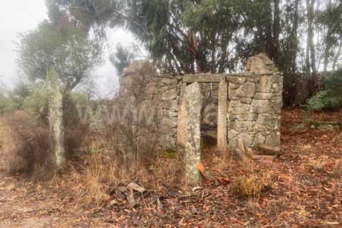 Landejendom i Castelo Branco, Castelo Branco, Castelo Branco - € 17.500 | Ref: 102220259 - foto 5