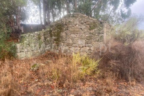 Landejendom i Castelo Branco, Castelo Branco, Castelo Branco - € 17.500 | Ref: 102220259 - foto 6