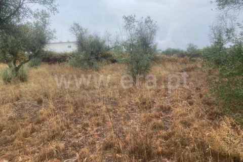Landejendom i Castelo Branco, Castelo Branco, Castelo Branco - € 17.500 | Ref: 102220259 - foto 7
