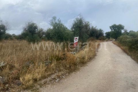 Landejendom i Castelo Branco, Castelo Branco, Castelo Branco - € 17.500 | Ref: 102220259 - foto 12
