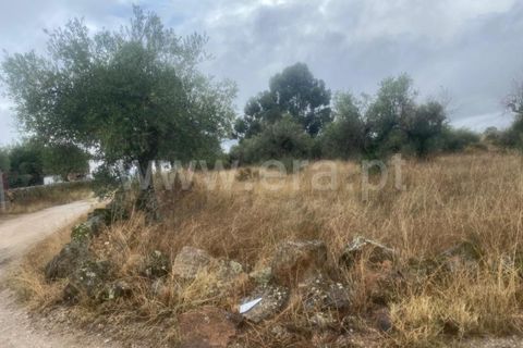 Landejendom i Castelo Branco, Castelo Branco, Castelo Branco - € 17.500 | Ref: 102220259 - foto 13