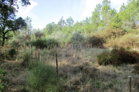 Landejendom i Castelo Branco, Castelo Branco, Castelo Branco - € 25.000 | Ref: 102220305 - foto 2