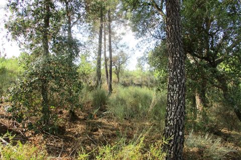Landejendom i Castelo Branco, Castelo Branco, Castelo Branco - € 25.000 | Ref: 102220305 - foto 6