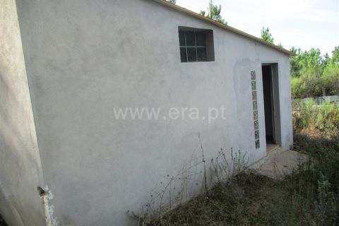 Landejendom i Castelo Branco, Castelo Branco, Castelo Branco - € 25.000 | Ref: 102220305 - foto 8