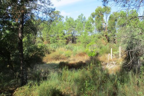 Landejendom i Castelo Branco, Castelo Branco, Castelo Branco - € 25.000 | Ref: 102220305 - foto 12