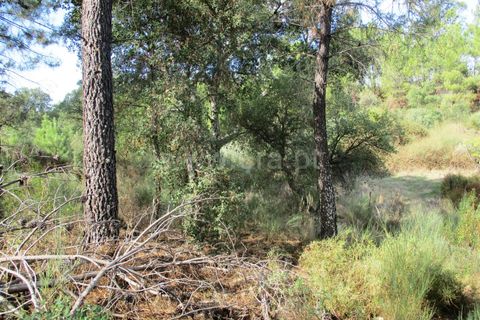 Landejendom i Castelo Branco, Castelo Branco, Castelo Branco - € 25.000 | Ref: 102220305 - foto 13