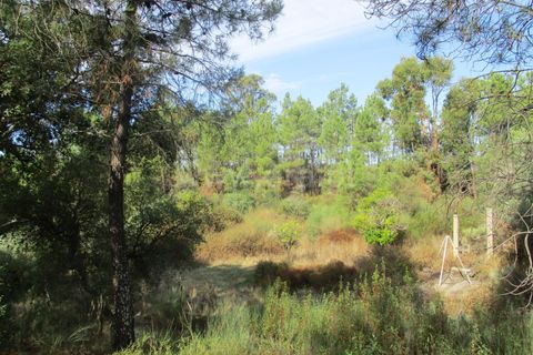 Landejendom i Castelo Branco, Castelo Branco, Castelo Branco - € 25.000 | Ref: 102220305 - foto 14