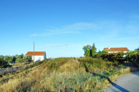 Helårsgrund i Castelo Branco, Castelo Branco, Castelo Branco - € 50.000 | Ref: 102220292 - foto 2