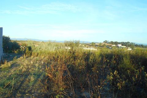 Helårsgrund i Castelo Branco, Castelo Branco, Castelo Branco - € 50.000 | Ref: 102220292 - foto 3