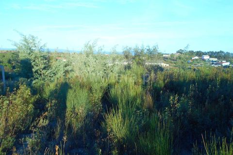 Helårsgrund i Castelo Branco, Castelo Branco, Castelo Branco - € 50.000 | Ref: 102220292 - foto 4
