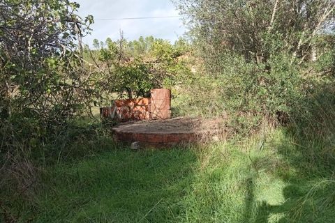 Villa i Castelo Branco, Castelo Branco, Castelo Branco - € 47.500 | Ref: 102220314 - foto 11