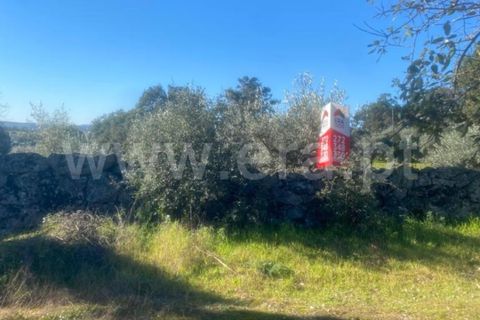 Helårsgrund i Castelo Branco, Castelo Branco, Castelo Branco - € 12.380 | Ref: 102230033 - foto 3
