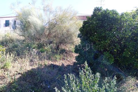 Helårsgrund i Castelo Branco, Castelo Branco, Castelo Branco - € 69.500 | Ref: 102230208 - foto 2