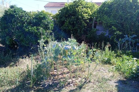 Helårsgrund i Castelo Branco, Castelo Branco, Castelo Branco - € 69.500 | Ref: 102230208 - foto 3