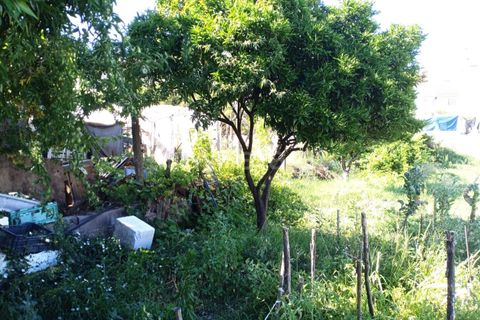 Helårsgrund i Castelo Branco, Castelo Branco, Castelo Branco - € 69.500 | Ref: 102230208 - foto 4