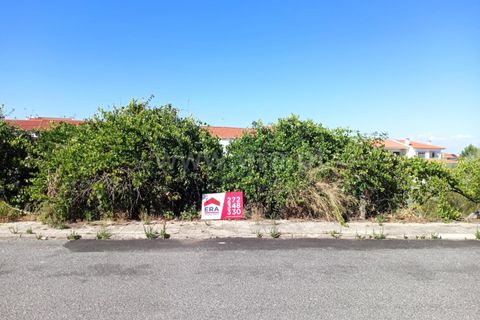 Helårsgrund i Castelo Branco, Castelo Branco, Castelo Branco - € 69.500 | Ref: 102230208 - foto 5