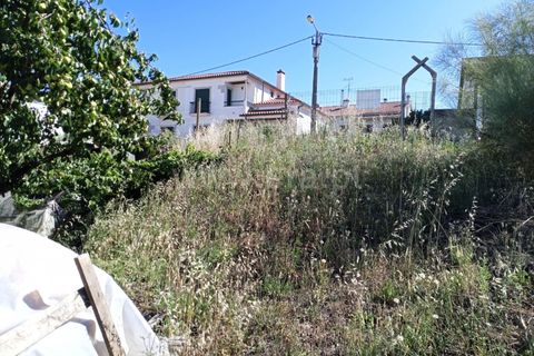Helårsgrund i Castelo Branco, Castelo Branco, Castelo Branco - € 69.500 | Ref: 102230207 - foto 2