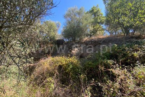 Landejendom i Castelo Branco, Castelo Branco, Castelo Branco - € 15.000 | Ref: 102230224 - foto 3