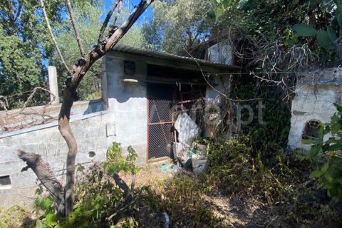 Landejendom i Castelo Branco, Castelo Branco, Castelo Branco - € 15.000 | Ref: 102230224 - foto 6