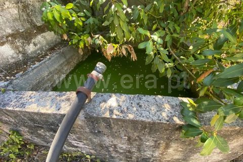 Landejendom i Castelo Branco, Castelo Branco, Castelo Branco - € 15.000 | Ref: 102230224 - foto 7