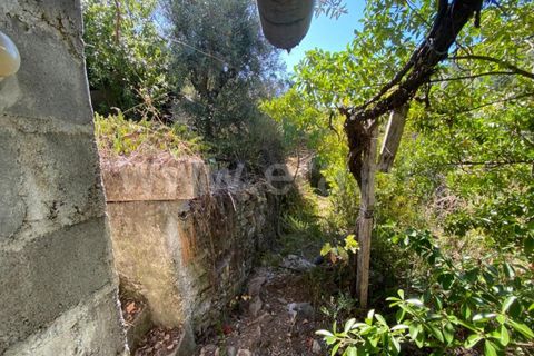 Landejendom i Castelo Branco, Castelo Branco, Castelo Branco - € 15.000 | Ref: 102230224 - foto 8
